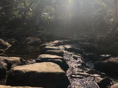 -广州市石门国家森林公园