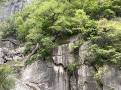 -洛阳白云山景区