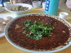 -胖大姐黄辣丁鱼庄(新津店)