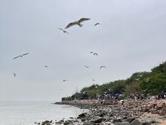 -深圳湾公园(南山区)