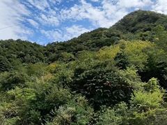 -秦岭风景区