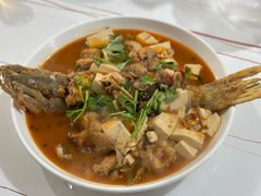 -煲来饱去冷水鱼