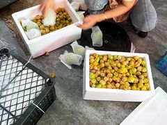 -曼阁市场水果批发市场