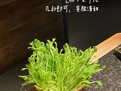 -三出山火锅(万象天地店)