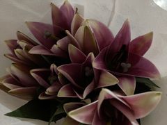 -循礼门鲜花花市(武汉循礼门店)