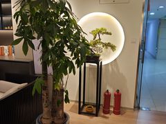 -席仁堂推拿按摩脊柱调理(世纪科贸大厦店)