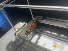 -鼎原力量东北吊炉烧烤(临河街店)