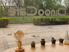 -Dinoo 片场咖啡(酒仙桥店)