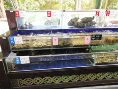 水产区-勝記酒家·37年老字号·经典粤菜(荔枝公园店)