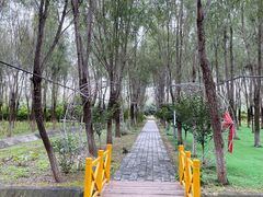 -草根堂农场