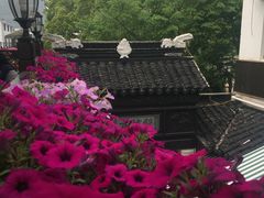 -旺山·浪头人家
