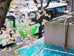 -上海南浦大桥长途旅游客运站