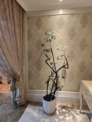 -东方美美容SPA会所