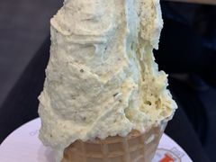 -野人先生现做冰淇淋(北京环宇荟店)