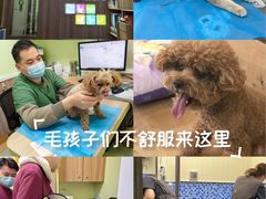 -瑞鹏宠物医院·宠保定点·心脏科·内科(御桥分院)