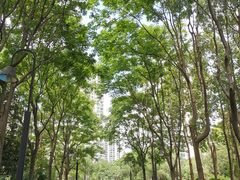 -苏州河梦清园环保主题公园