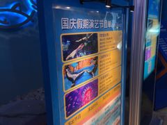 -烟台海昌鲸鲨海洋公园