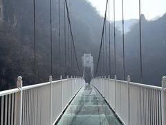 -藏山旅游风景区