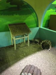 -酷嗒动物文化乐园(cutezoo西溪乐天城店)