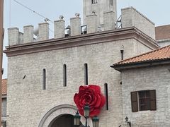 -华谊兄弟（长沙）电影小镇