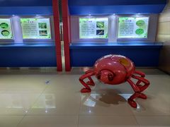 -上海昆虫博物馆