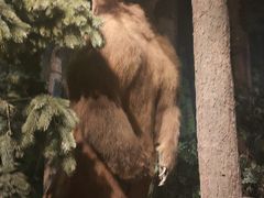 -陕西自然博物馆