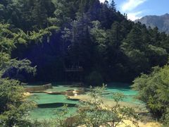 -黄龙山原始森林景区