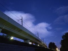 -宝安西湾红树林湿地公园