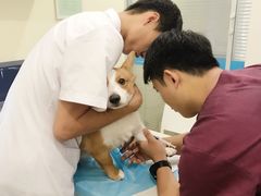 -美迦爱-牙专科·兔科·骨科诊疗中心(北苑店)