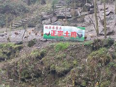 -鹿院坪生态旅游景区