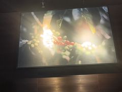 -星巴克(西藏路店)