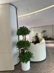 -广州美莱医疗美容医院