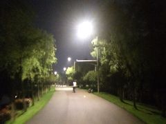 -艾溪湖湿地公园