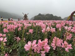 -广州市石门国家森林公园