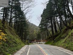 -洛阳白云山景区