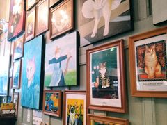 -猫咪博物馆(顶澳仔猫街店)