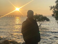 -宝安西湾红树林湿地公园