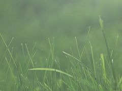 -海胆小馆(东北水饺·春柳店)