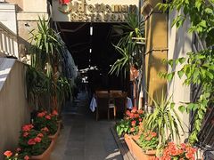 -Old Ottoman Cafe & Restaurant