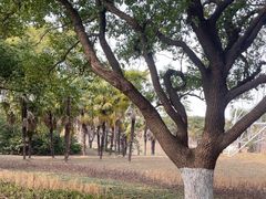 -昆山城市生态森林公园