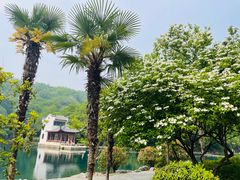 -南京珍珠泉风景区