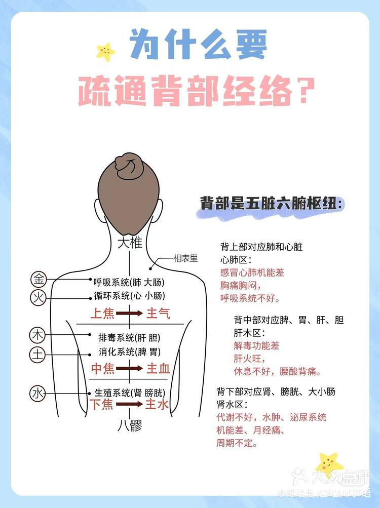 为什么疏通背部?经络通气血才通