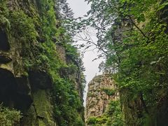 -茅兰沟国家森林公园