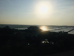 -大湾区中央湿地公园