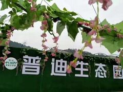 -普迪生态园