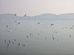 -云龙湖旅游景区