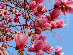 -常熟路(地铁站)