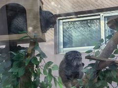-青藏高原野生动物园