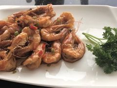 -云中小雅