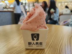 -野人先生Gelato(上海长宁龙之梦店)